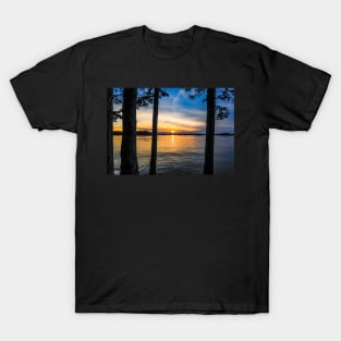 Between the Trees T-Shirt